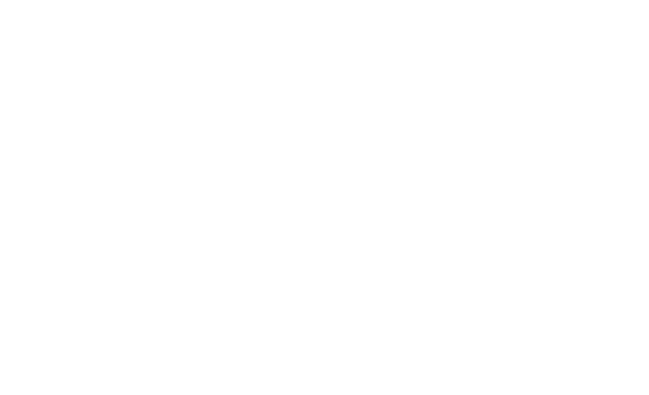 Travel Rouge